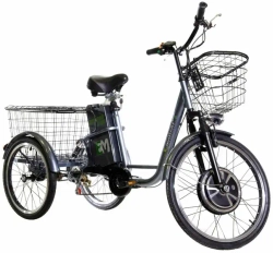 Трехколесный электровелосипед E-motions KANGOO-RU 750