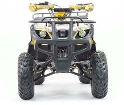 Квадроцикл MOTOLAND 250 ADVENTURE (2021 Г.)