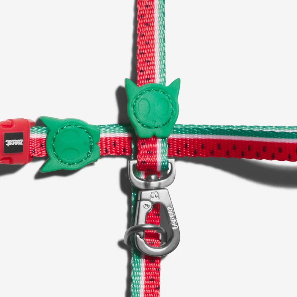 Шлейка+поводок LOLA Zee.Cat