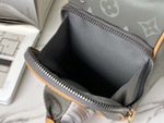 Louis Vuitton Camera Titanium