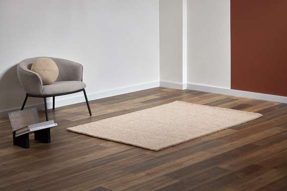 Ковер из шерсти salem бежевого цвета из коллекции ethnic, 60x90 см