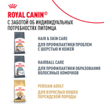 Royal Canin Persian Kitten Персиан Киттен Корм сухой для котят персидской породы до 12 месяцев 10кг