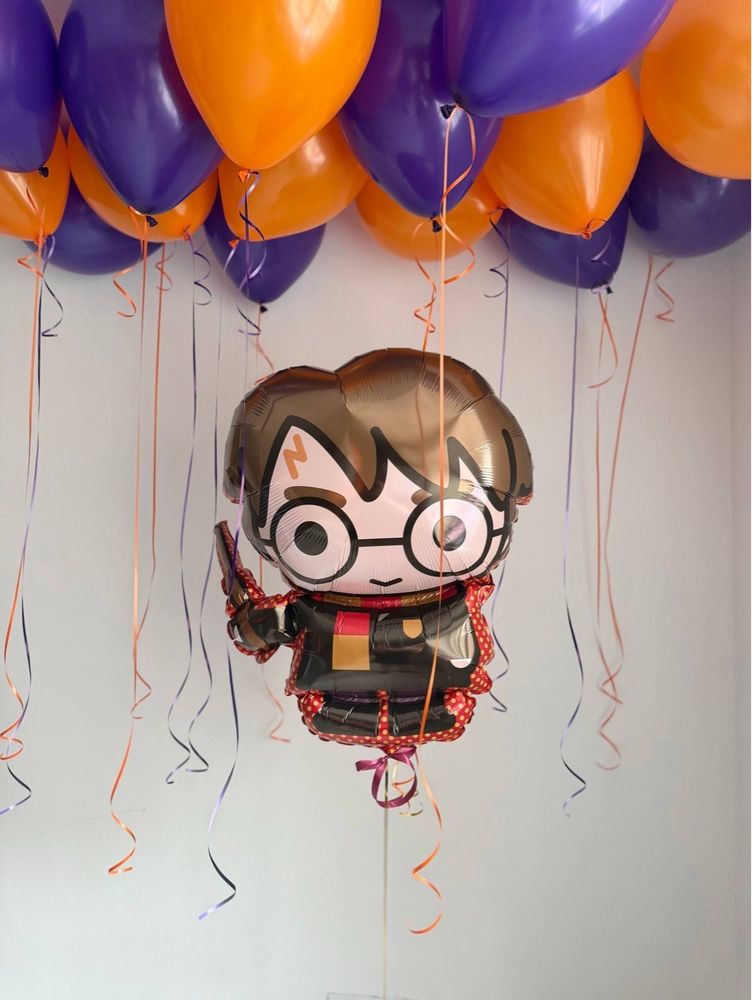 Воздушные гелиевые шарики с доставкой по Хабаровску Гарри Поттер №5096