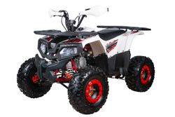 Квадроцикл YACOTA FUSION 125 PRO