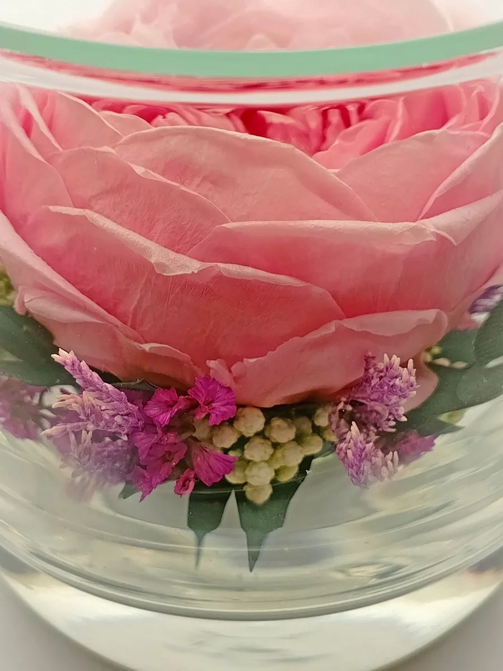 натуральный пион в стекле, вакуум*