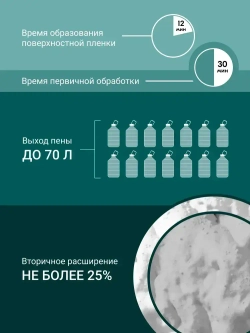 Монтажная пена профессиональная всесезонная DONEWELL 70