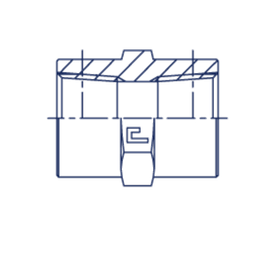 Соединение PS BSPT 1/8 - BSPT 3/8