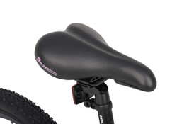 Maxiscoo 3BIKE 20'' L (2025)