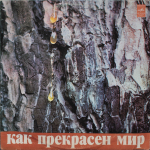 Давид Тухманов / Как Прекрасен Мир (LP)