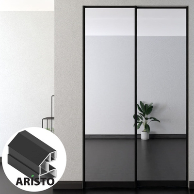 Дверь-купе ARISTO AVERS, зеркало, профиль черный матовый