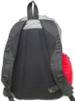 Рюкзак 20 литров С801 (красный), ХСН