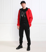 спортивные штаны Armani Exchange - черный(3RZPBB ZJCAZ)