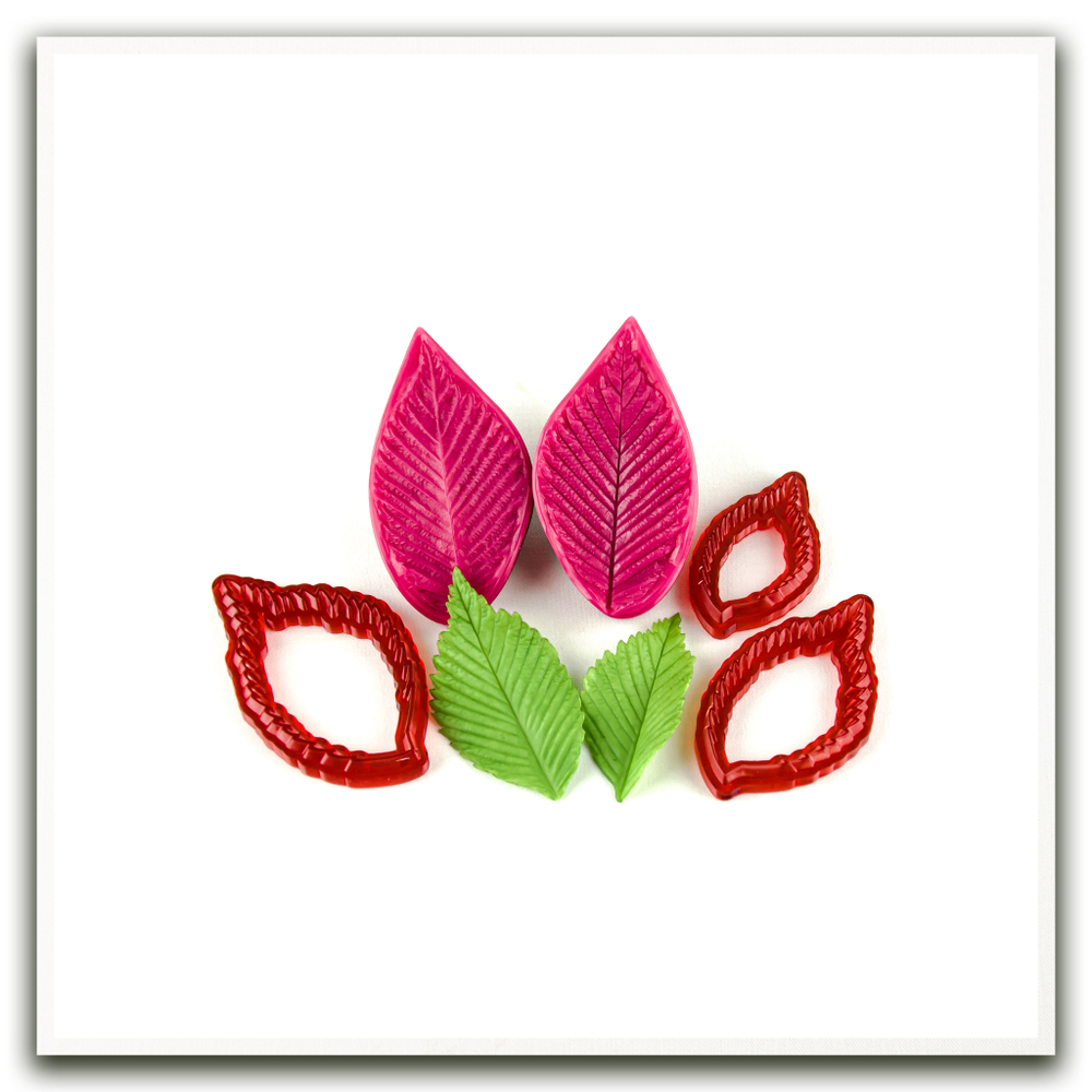 Лист молодого вяза