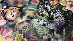 Микровелюр Xpoint 0079.02 Бабочки