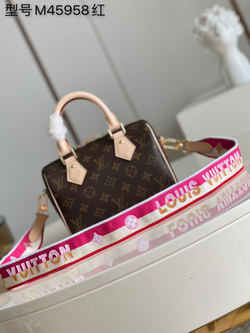 Louis Vuitton Speedy 20