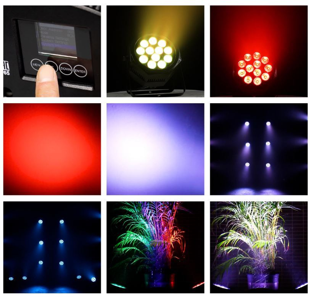 SMARTPAR 1212P IP1212