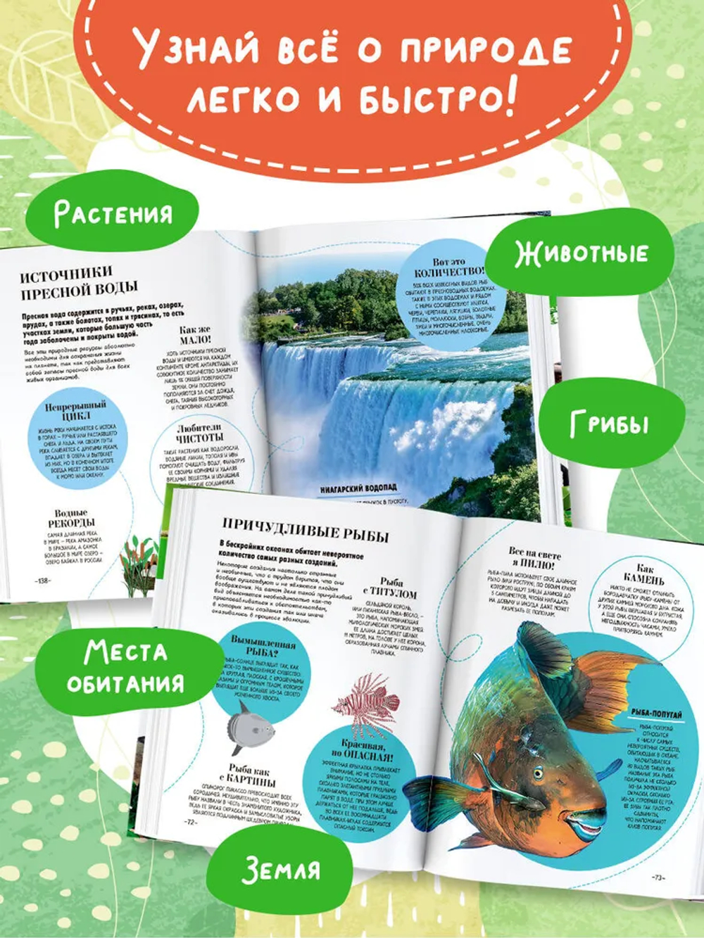 100 тысяч почему на каждый день. Природа