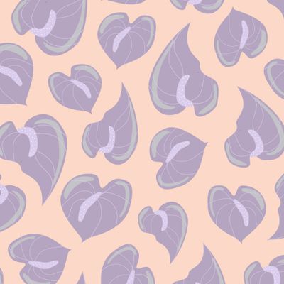 Лавандовые антуриумы