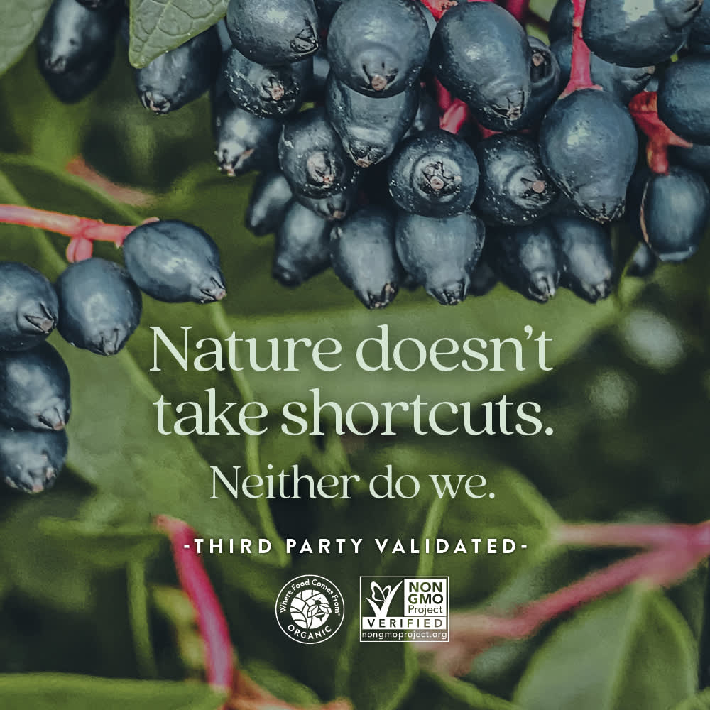 New Chapter, жевательные мультивитамины для женщин старше 50 лет, со вкусом ягод и цитруса, 90 жевательных таблеток