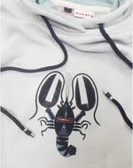 Худи Диктатура Голубой