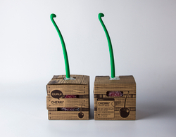 Ёршик туалетный Cherry Qualy