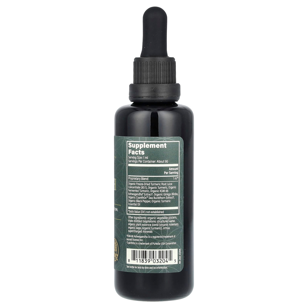 Global Healing, необработанный травяной экстракт, для здоровья мозга, 59,2 мл (2 жидк. унции)