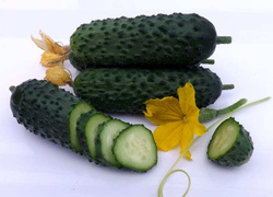 Огурец Самсур F1 7шт ВитаГрин ЭКСТРА