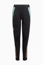 Штаны adidas FC Bayern 24/25 Training Junior - черный