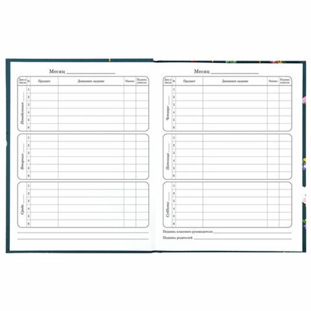 Дневник 1-4 класс 48 л., твердый, ЮНЛАНДИЯ, глянцевая ламинация, с подсказом, "Kittycorn", 106346