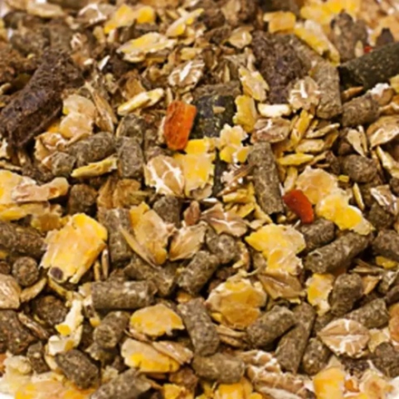 Дерби Энерджи