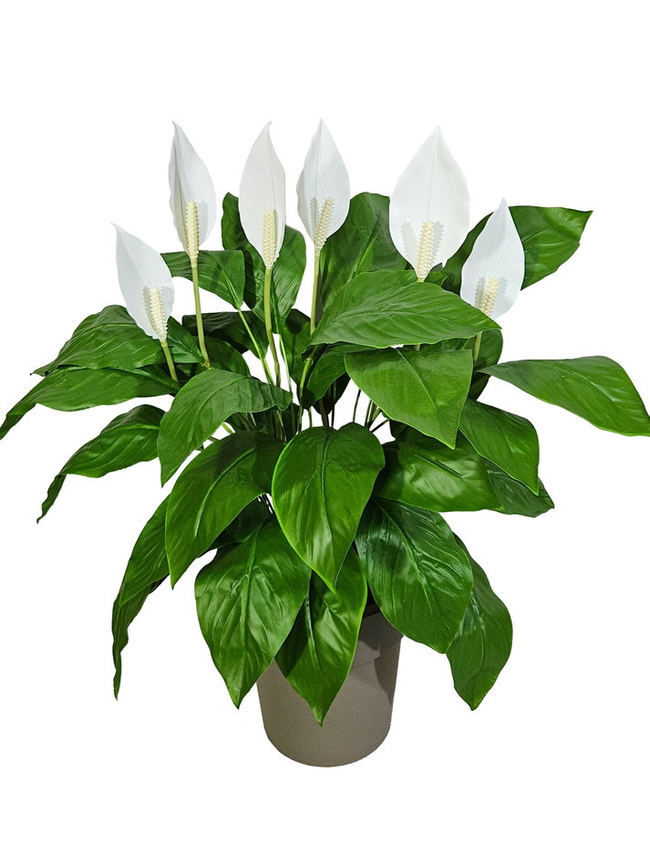 Искусственные цветы Спатифиллум белый в стильном кашпо