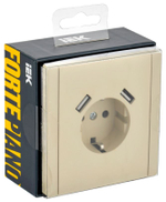 Розетка с заземлением с 2 USB  IEK FP-R14-16-U22-018-K10