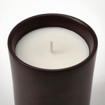 Свеча ароматическая IKEA BEHJARTAD (БЕХЭРТАД), Костер, Темный кофе, 50 часов