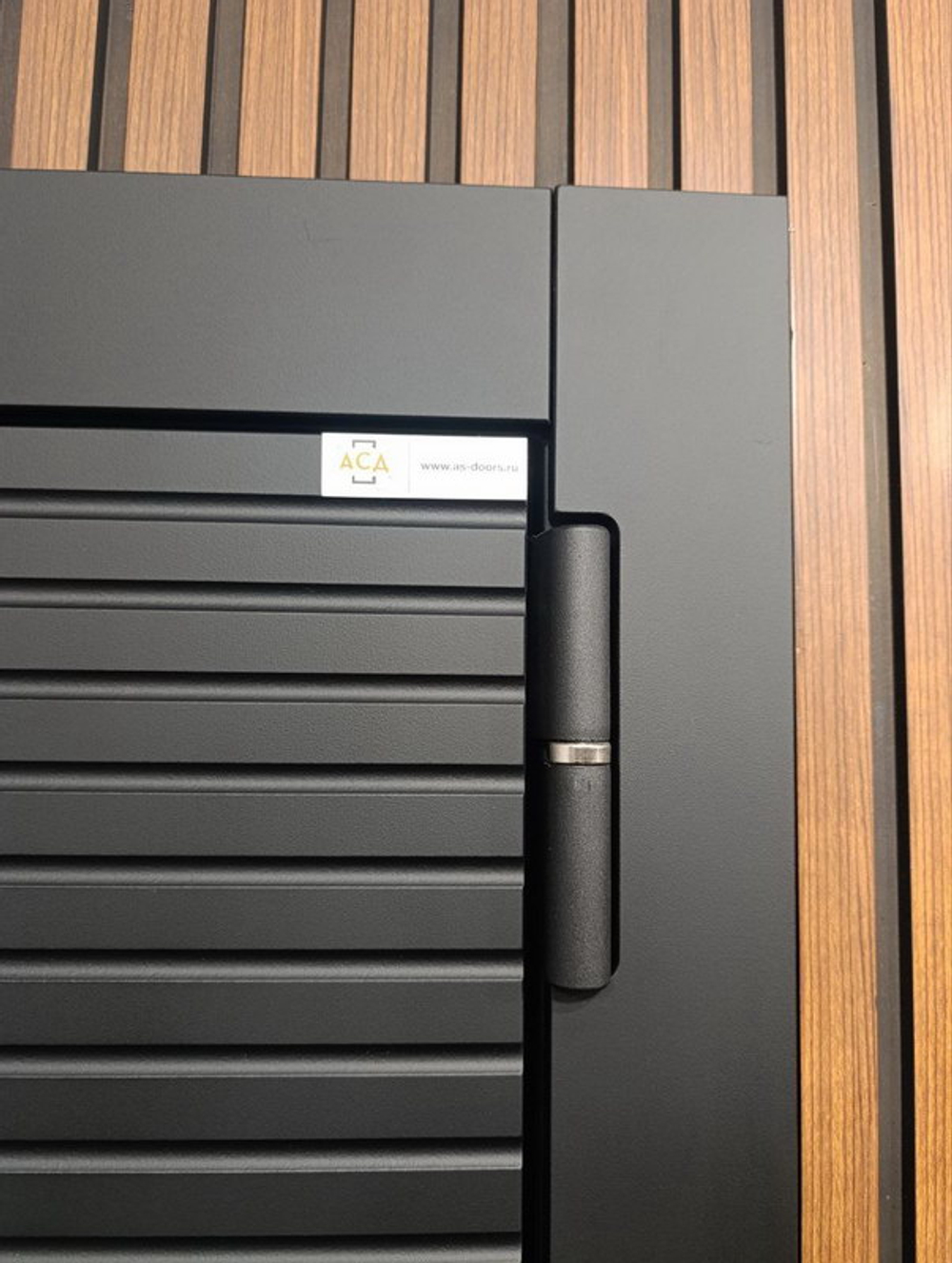 Стальная дверь "Агат" с зеркалом. Заказная модель.