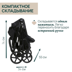 Коляска Chicco Seety 2 в 1 Etna Black
