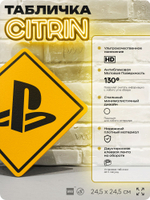 Табличка декоративная "Playstation" на дверь и стену, прикольная штука в подарок геймеру, декоративный знак, 24,5х24,5 см, Айдентика Технолоджи