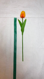 Тюльпаны оранжевые