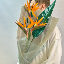 Птица, которая решила остаться. Букет со стрелицией