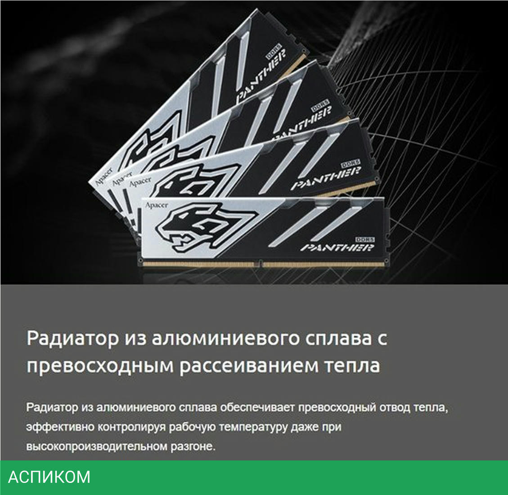 Оперативная память Apacer Panther DDR5 2x32GB (AH5U64G60C6227BAA-2)