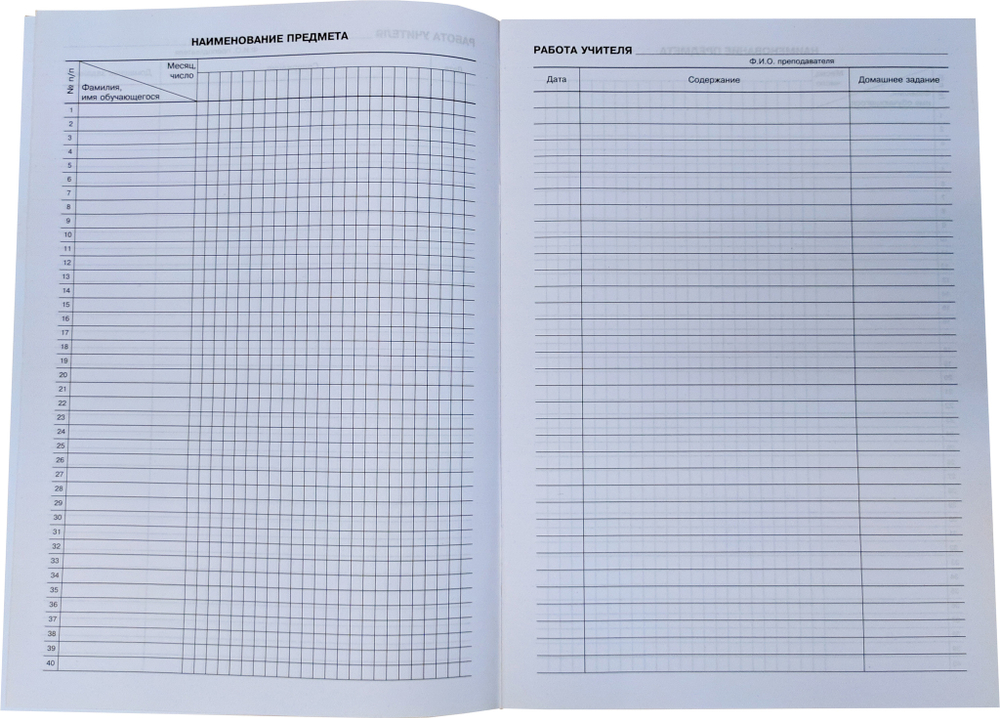 Журнал индивидуального обучения на дому