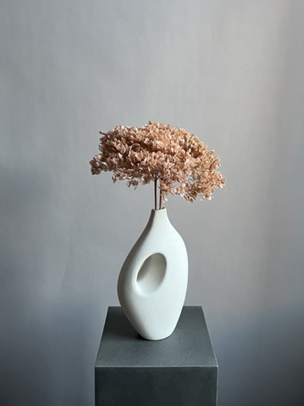 Гортензия стабилизированная пудровая