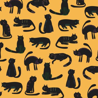 чёрные кошки