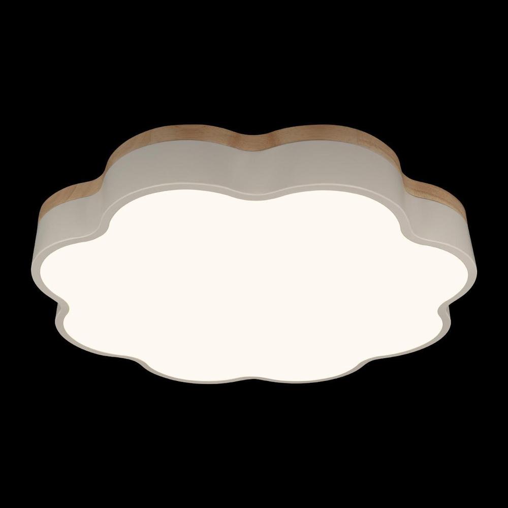 Потолочный светодиодный светильник Loft It Axel 10225/36 White