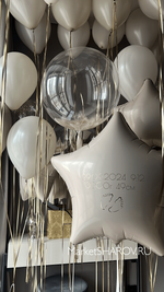 Набор шаров Белая роза