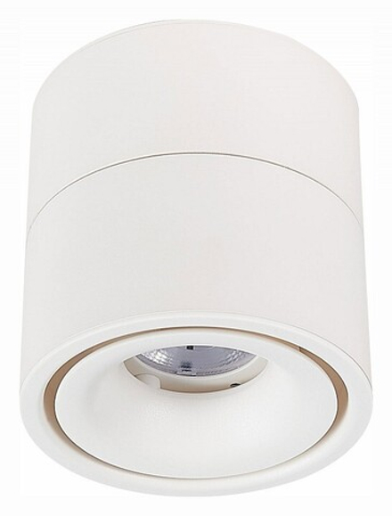 Светильник на штанге ST-Luce ST652 ST652.542.12
