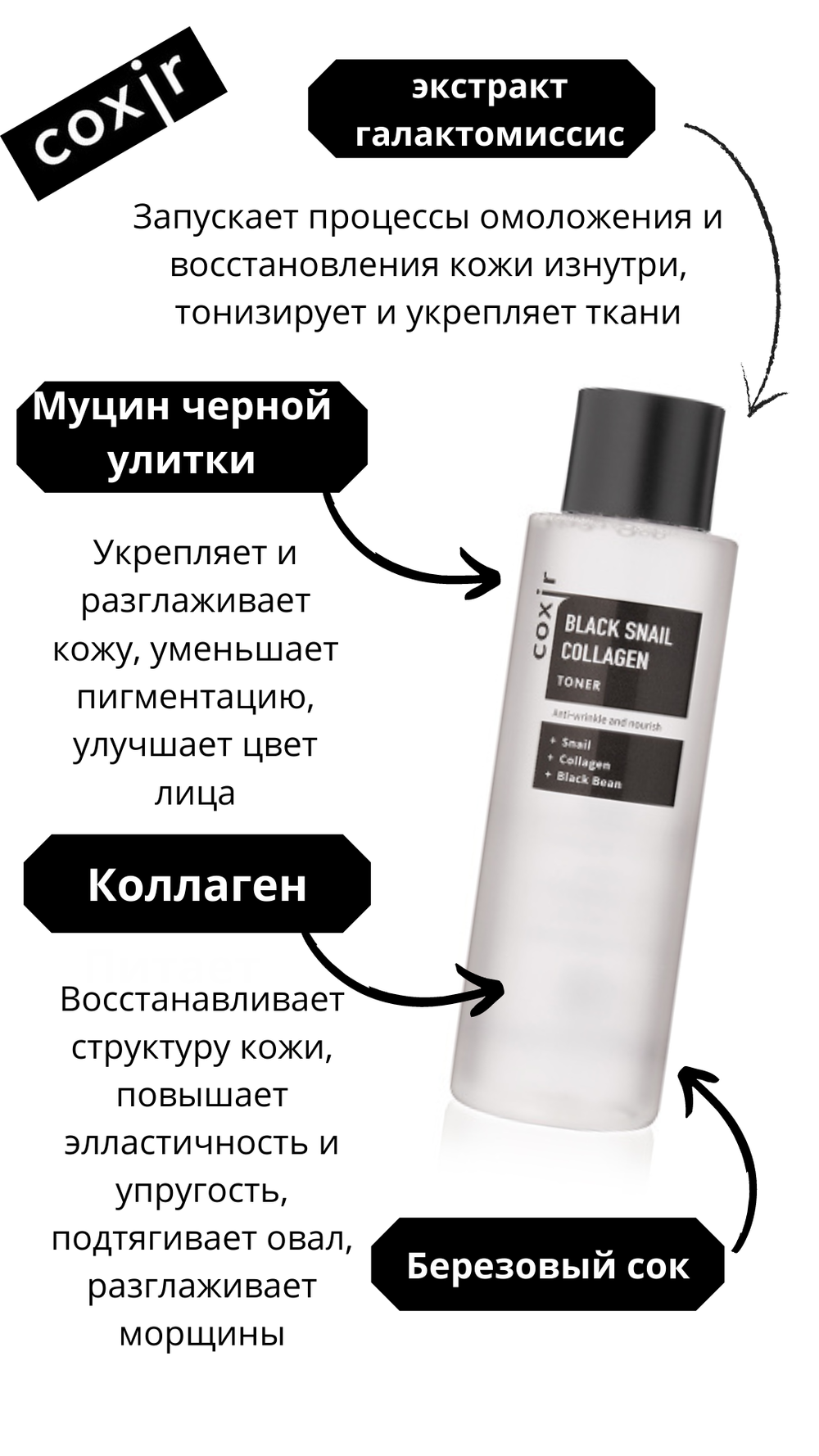 Coxir / Омолаживающий тонер с муцином улитки и коллагеном Black Snail Collagen Toner, 150 мл