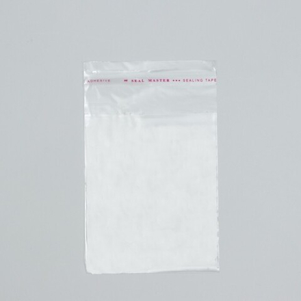 Пакет БОПП с клеевым клапаном 10 х 12/3,5 см, 25 мкм, 100 шт