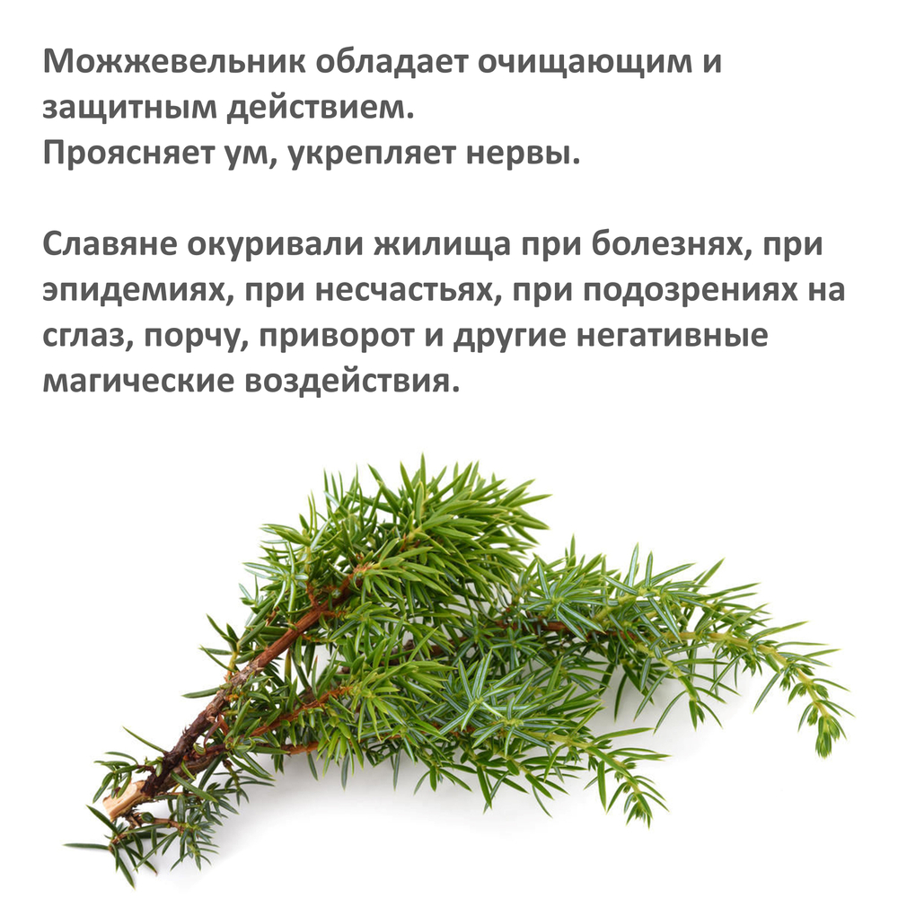 Свечи с можжевельником, ритуальные на чистку и защиту, 18х2 см