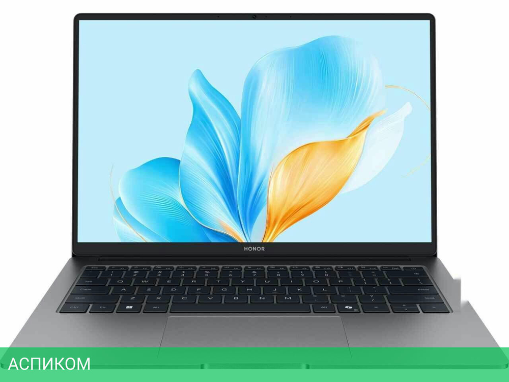Ноутбук Honor MagicBook X14 Plus 2025 FRB-X 5301ALWC