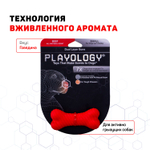Playology двухслойная жевательная косточка DUAL LAYER BONE для собак средних пород с ароматом говядины, средняя, цвет красный